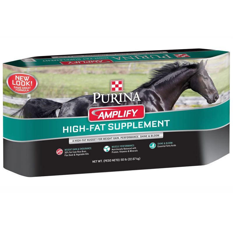 Amplify Equine High Fat Supplement Wineingers Country Feed & Supply